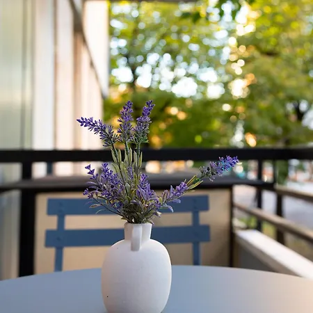Il Balcone Di Grace Apartament *